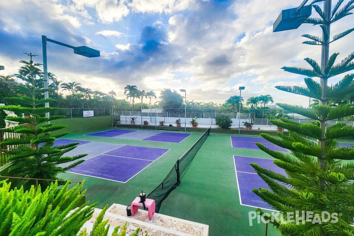 Photo of Pickleball at PickleHall